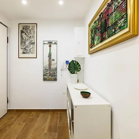 Primopiano - Paladini